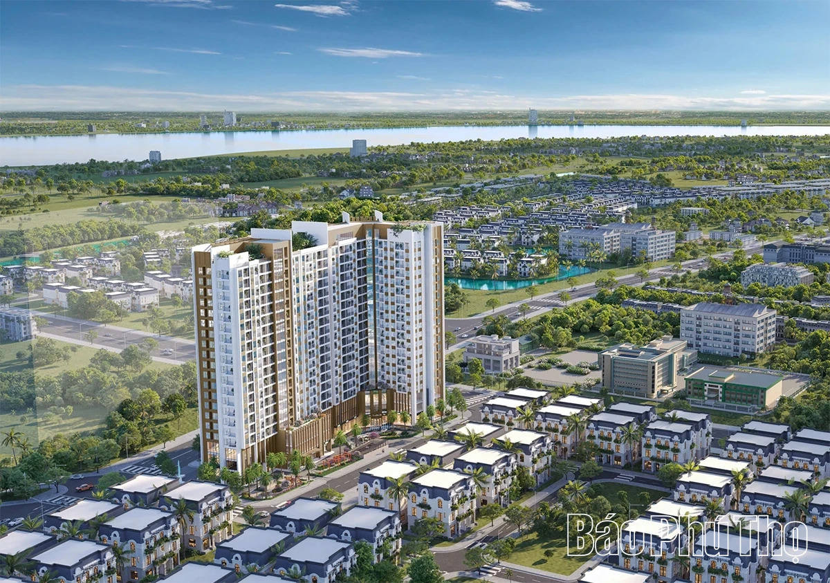 dự án Đông Nam Oasis City